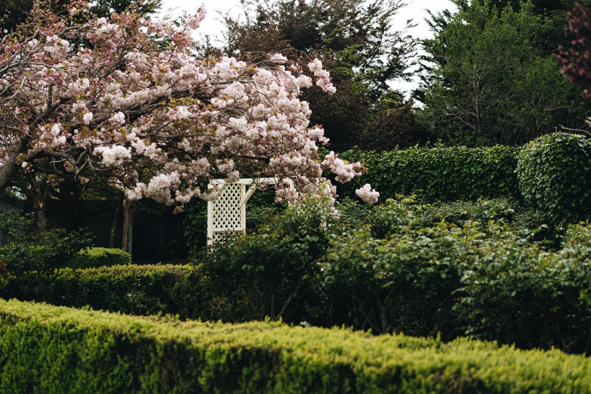 Brackenridge Country Retreat & Spa Martinborough Exteriér fotografie
