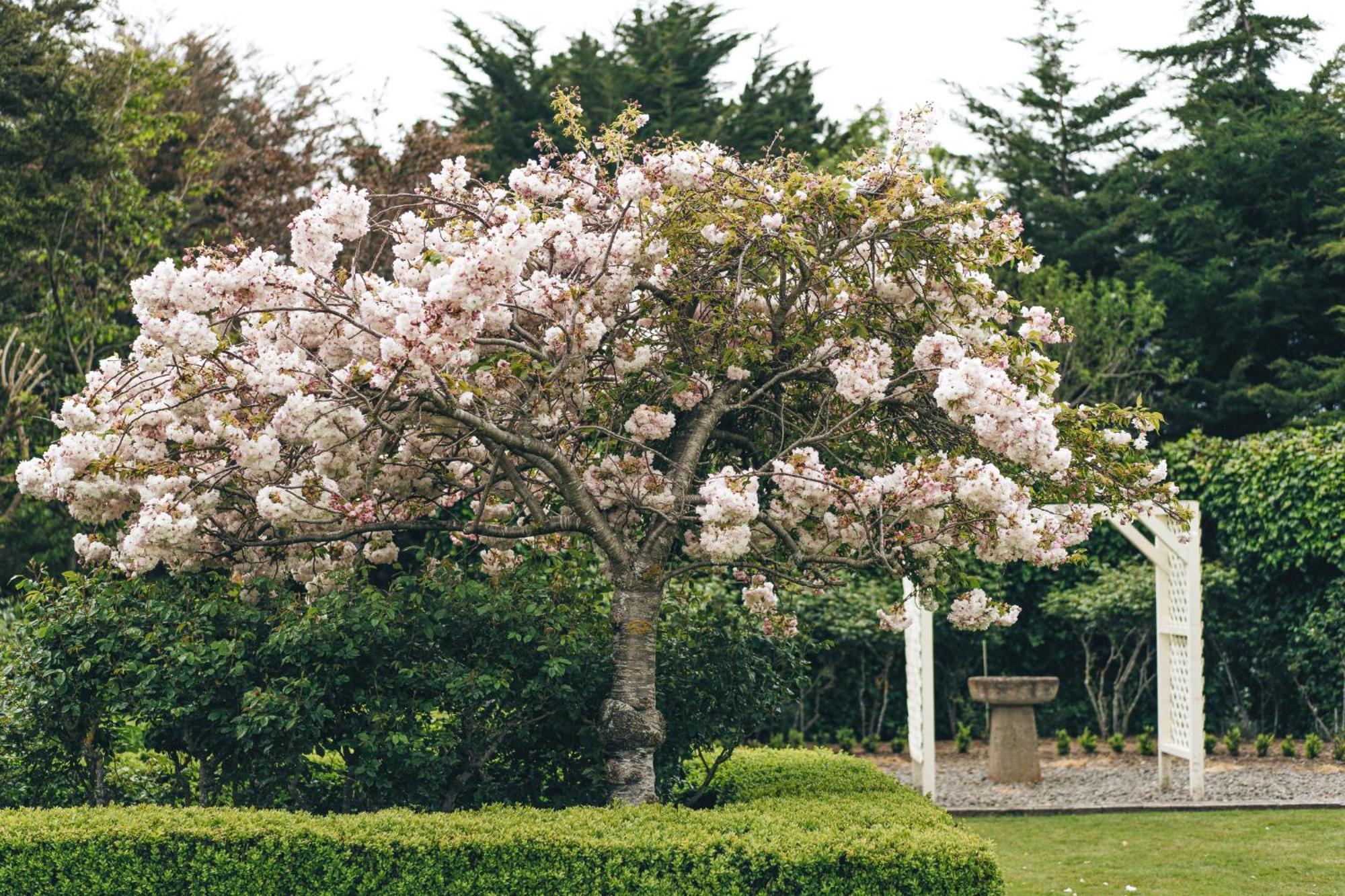 Brackenridge Country Retreat & Spa Martinborough Exteriér fotografie